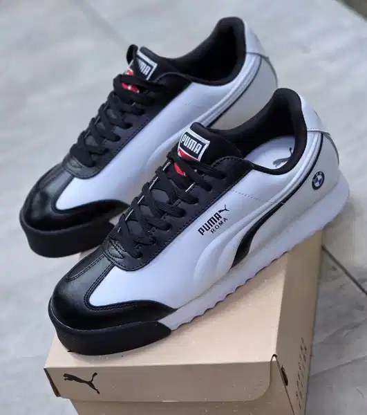 Puma